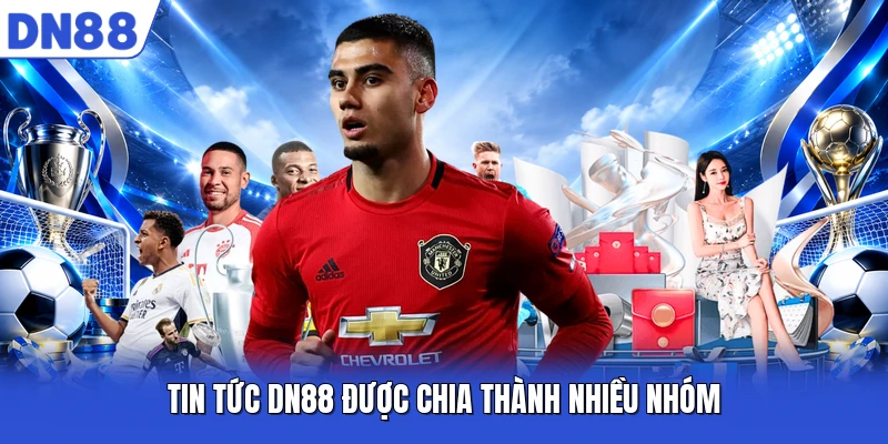 Tin tức DN88 được chia thành nhiều nhóm
